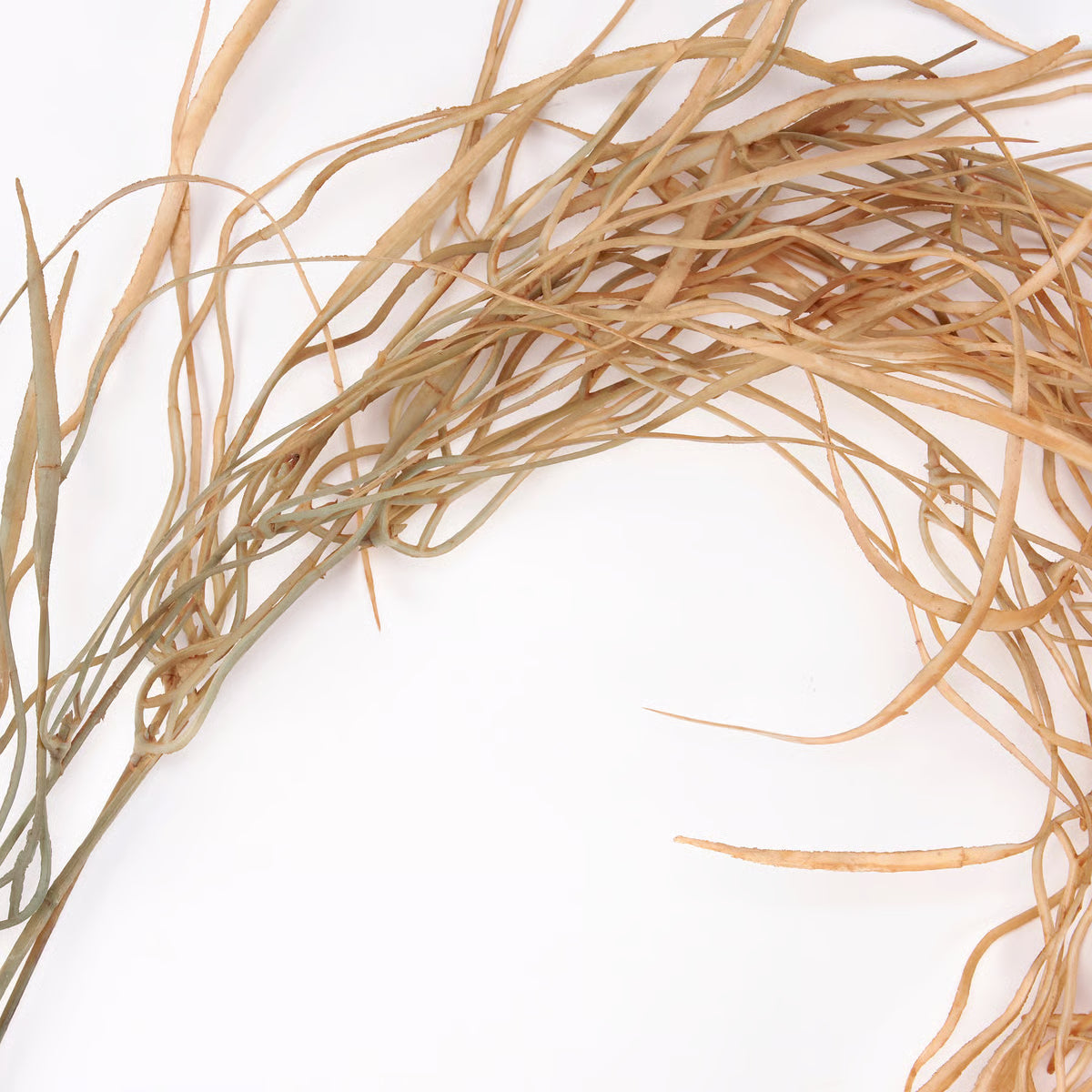 Floral Pick - Seaweed