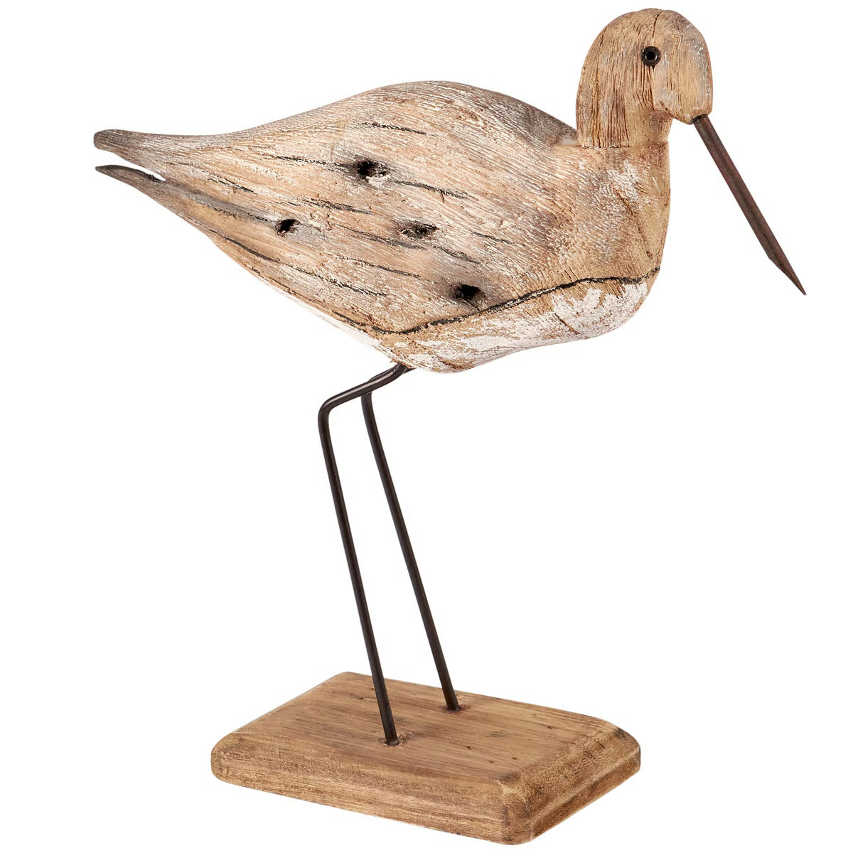Sitter - Curlew Shorebird