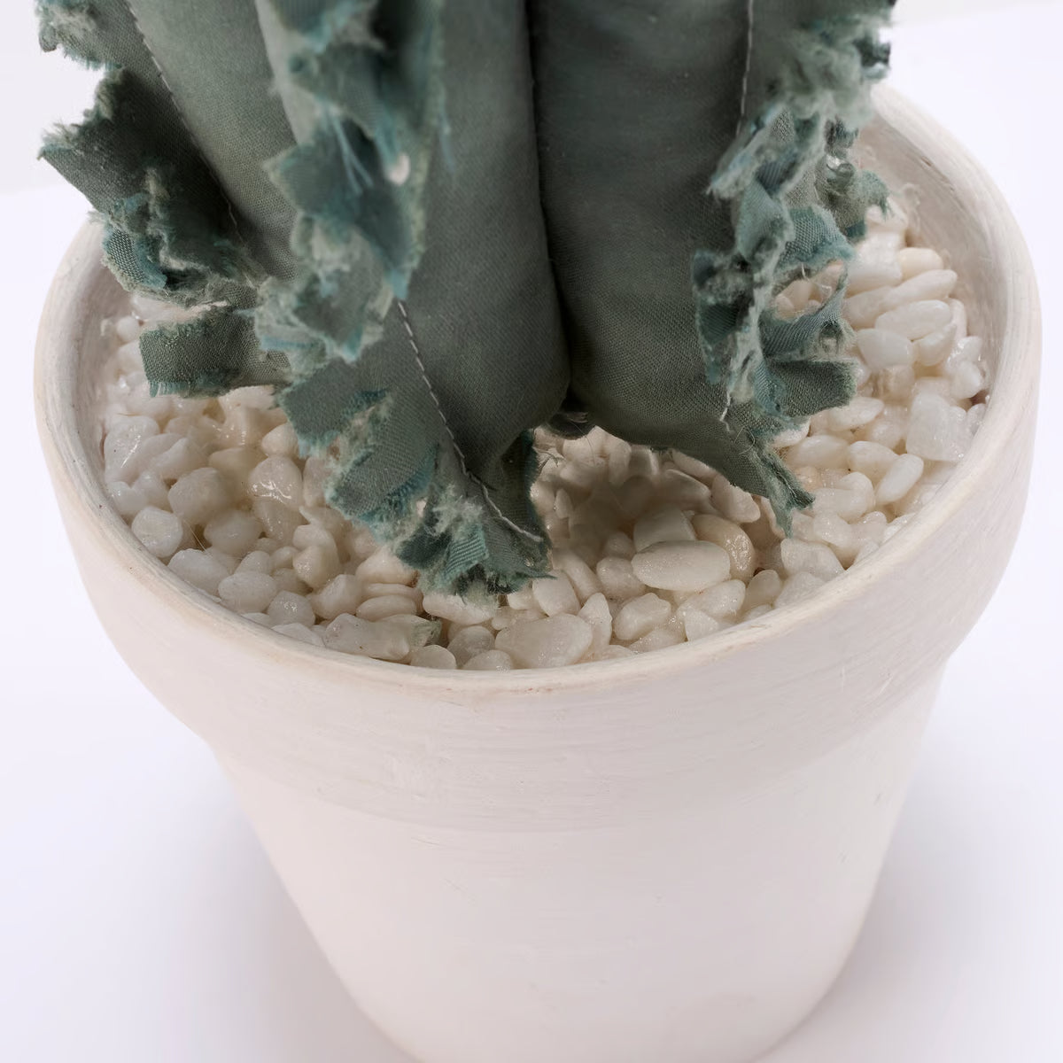 Cactus Large