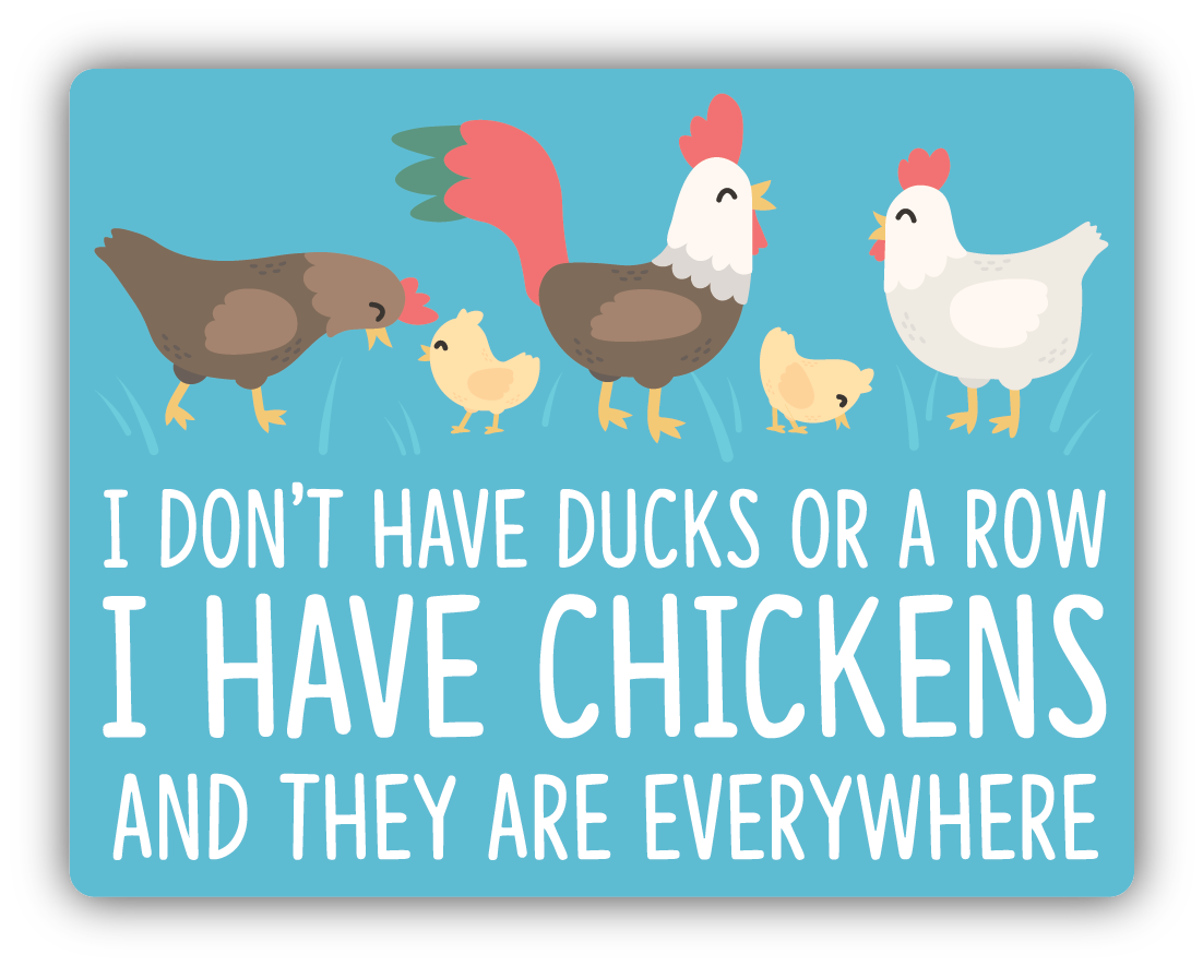 I DON'T HAVE DUCKS IN ROW I HAVE CHICKENS