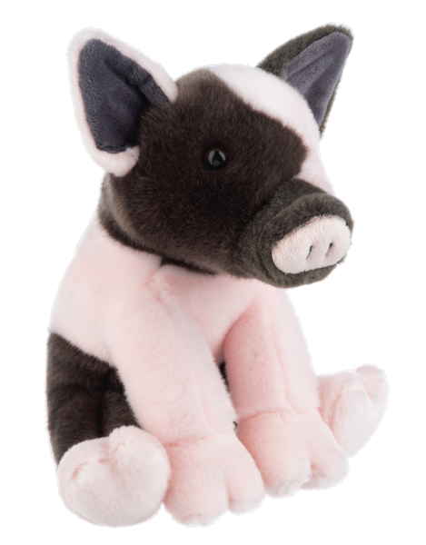 The Heritage Collection Hampshire Pig