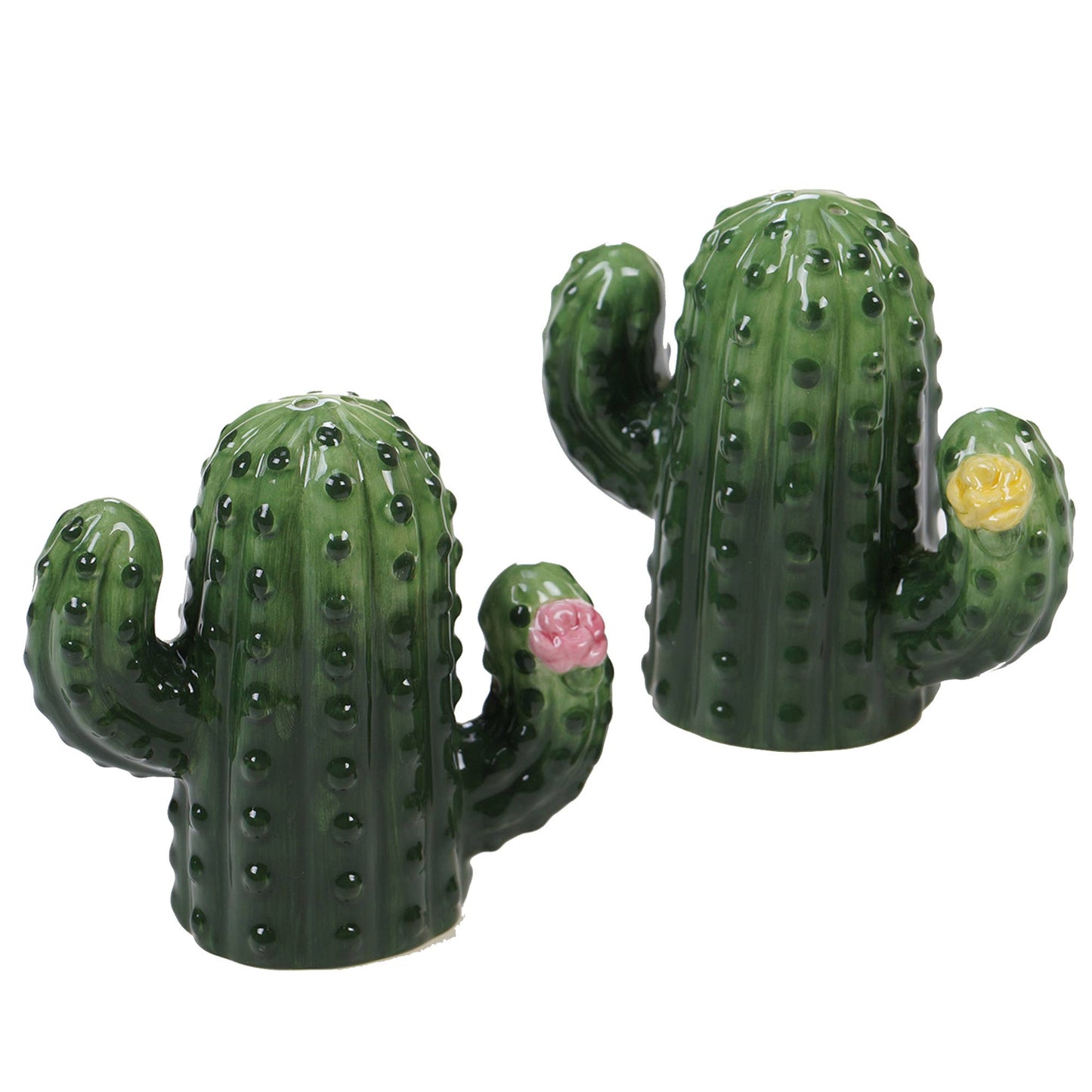 Cactus Verde 3-D Cactus Salt and Pepper Set 3.75 in
