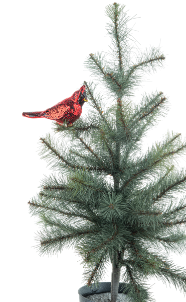 Cardinal Clip Ornament EX23079