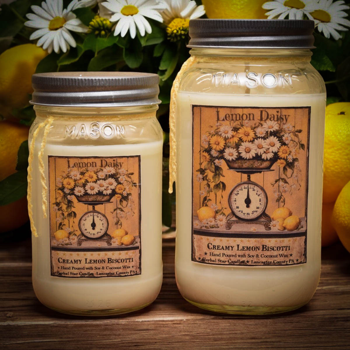 Lemon Daisy 24oz Jar Candle