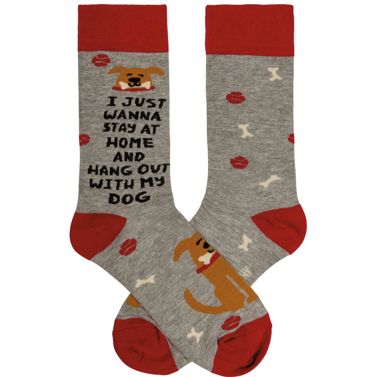 Socks - I Just Wanna Hang With My Dog