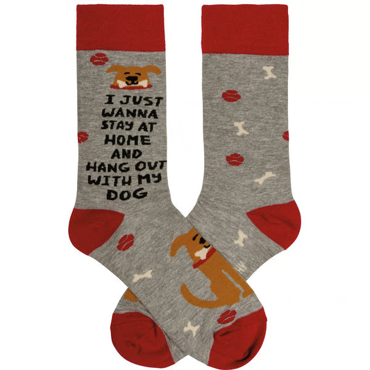 Socks - I Just Wanna Hang With My Dog