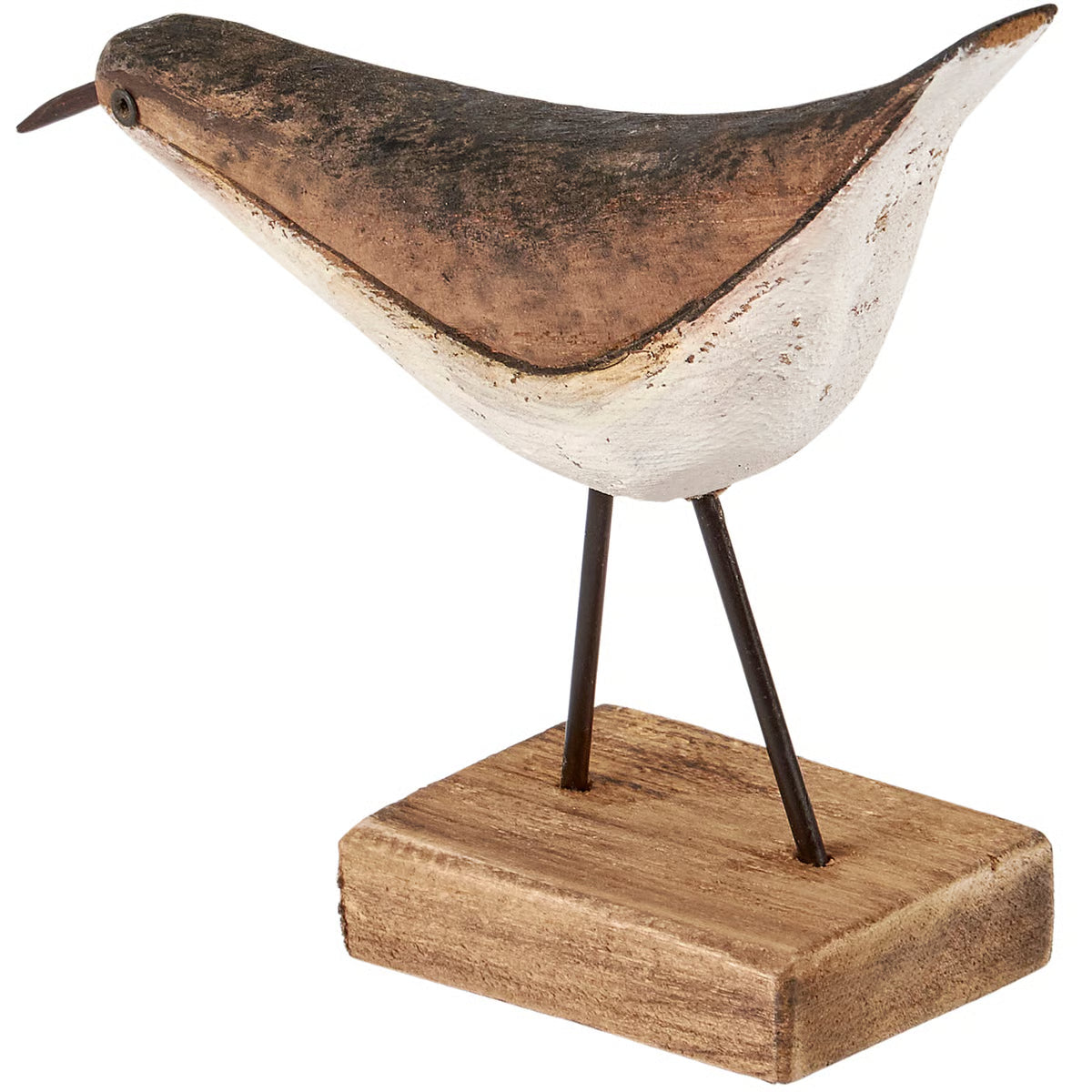 Sitter - Shorebird