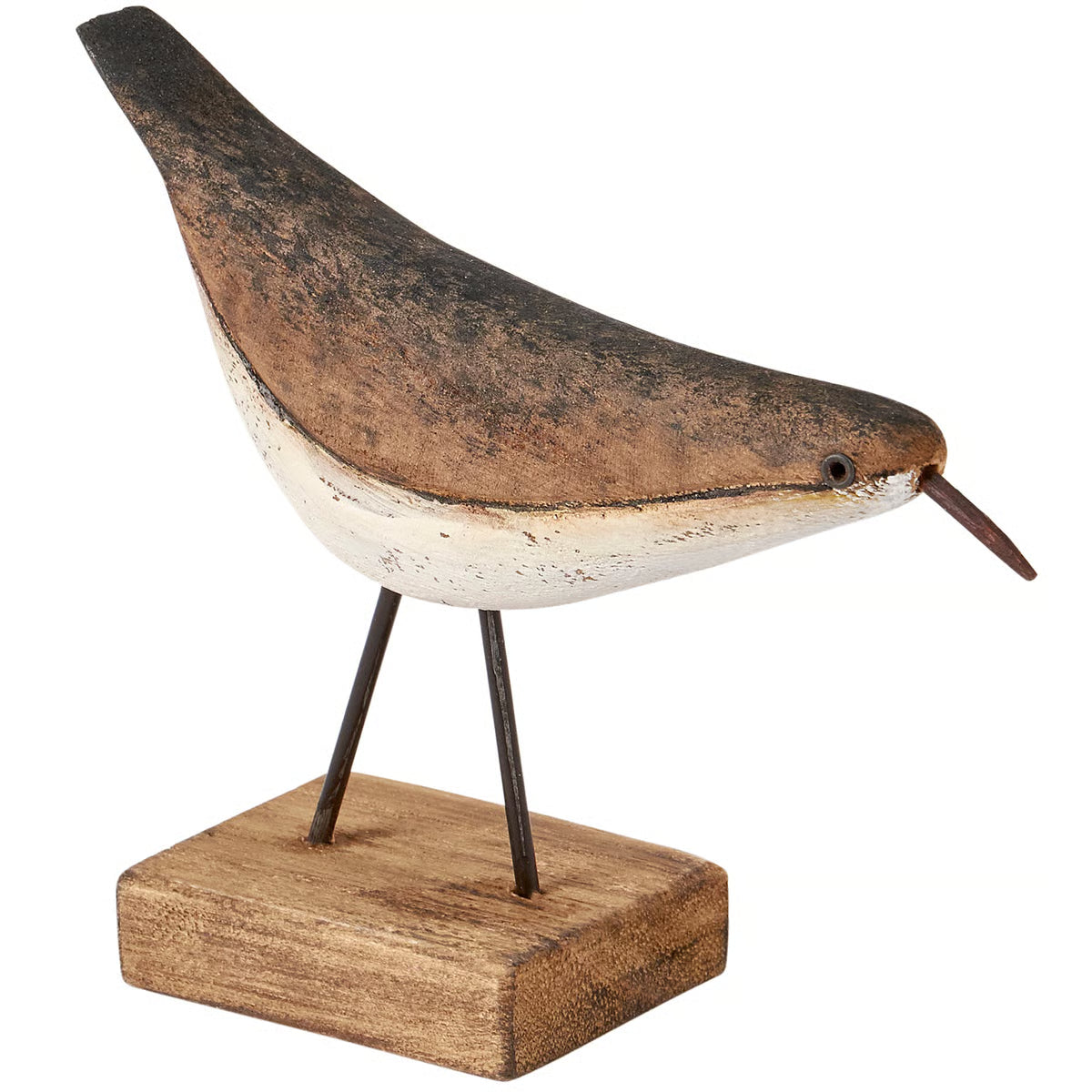 Sitter - Shorebird