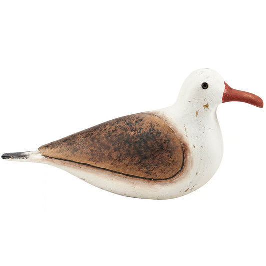 Sitter - Resting Seagull