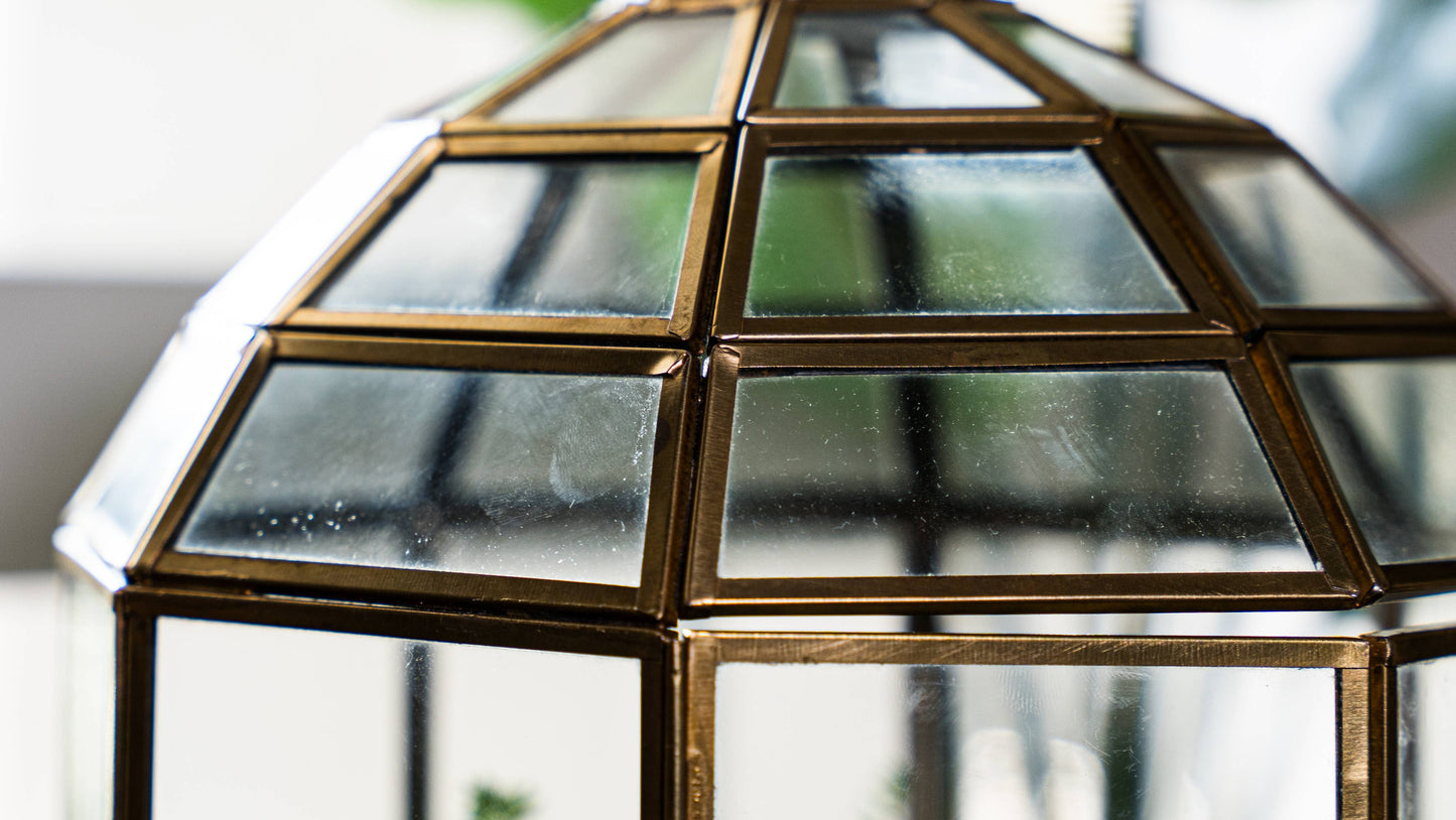 Urban Born Birdcage Terrarium: Glass Indoor Display, Bronze