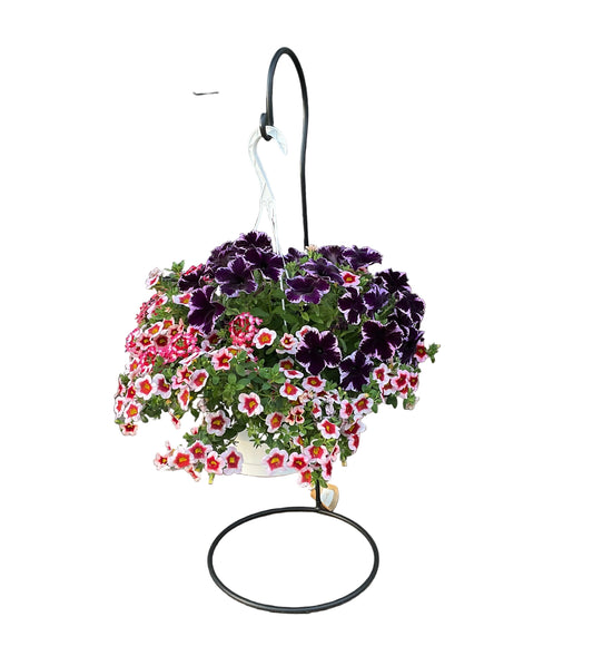 10" Combination Hanging Basket
