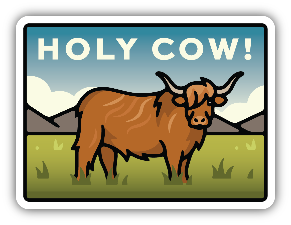 HOLY COW HIGHLAND COW