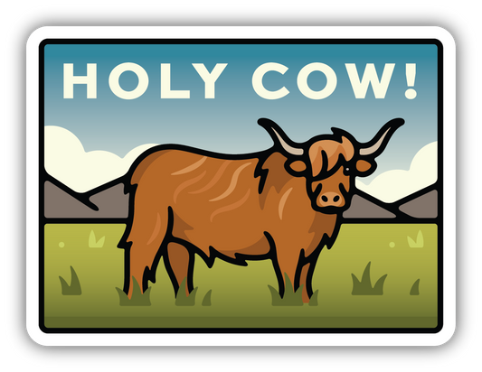 HOLY COW HIGHLAND COW