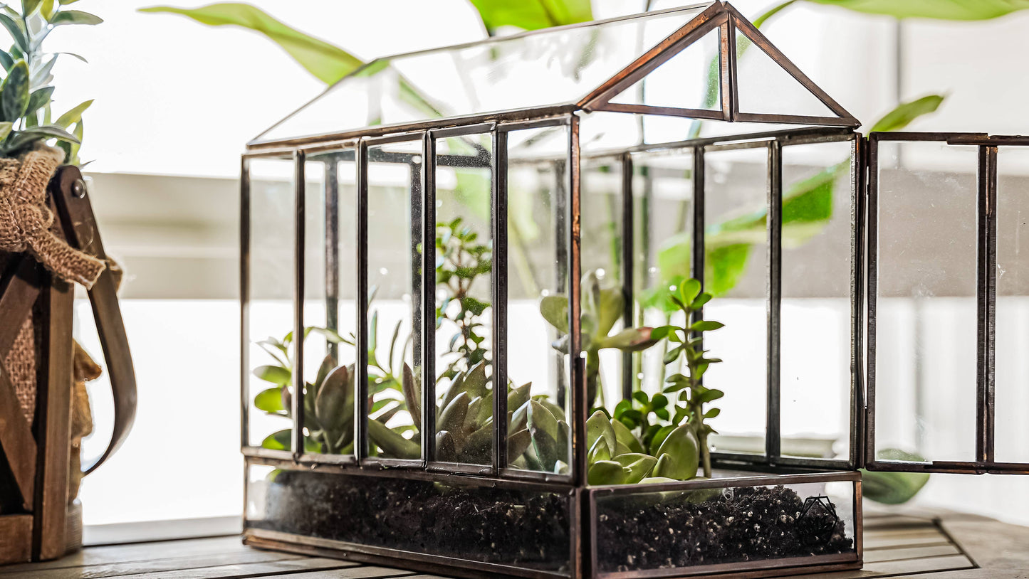 Urban Born Greenhouse Terrarium Glass+Metal, Bronze,10x7x10"