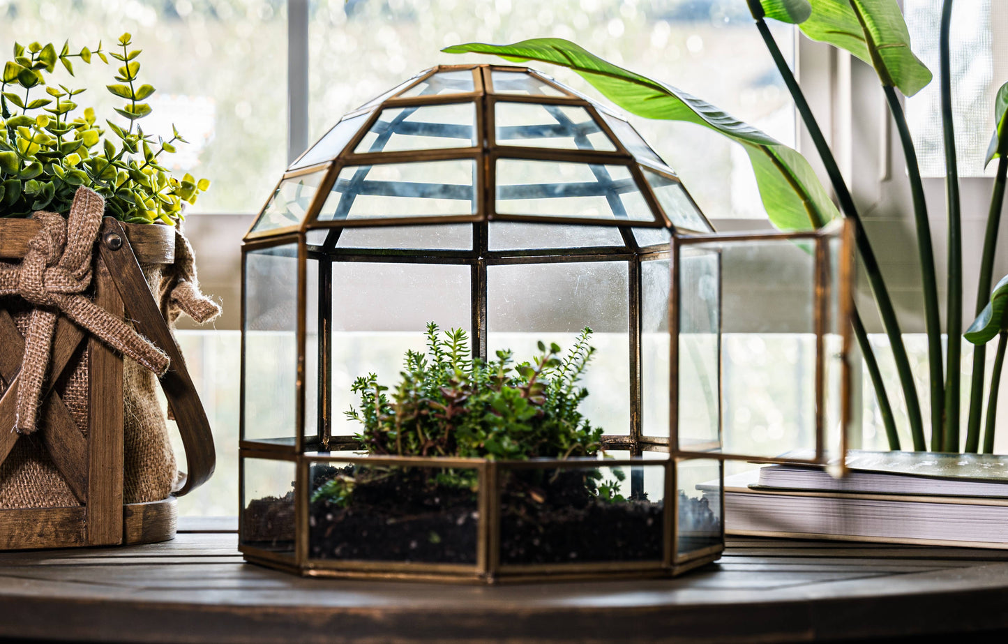 Urban Born Birdcage Terrarium: Glass Indoor Display, Bronze
