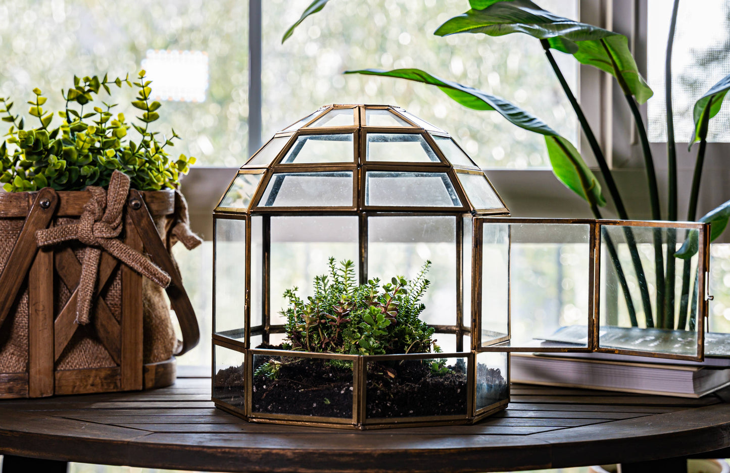 Urban Born Birdcage Terrarium: Glass Indoor Display, Bronze