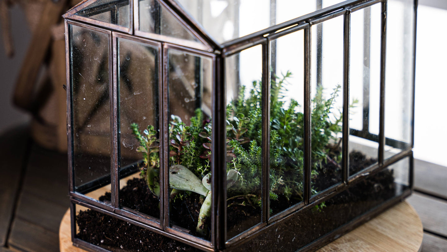 Urban Born Greenhouse Terrarium Glass+Metal, Bronze,10x7x10"