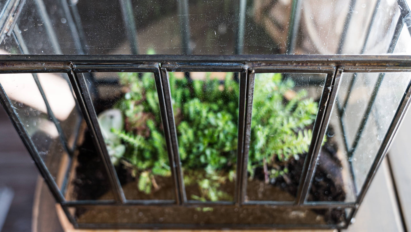 Urban Born Greenhouse Terrarium Glass+Metal, Bronze,10x7x10"