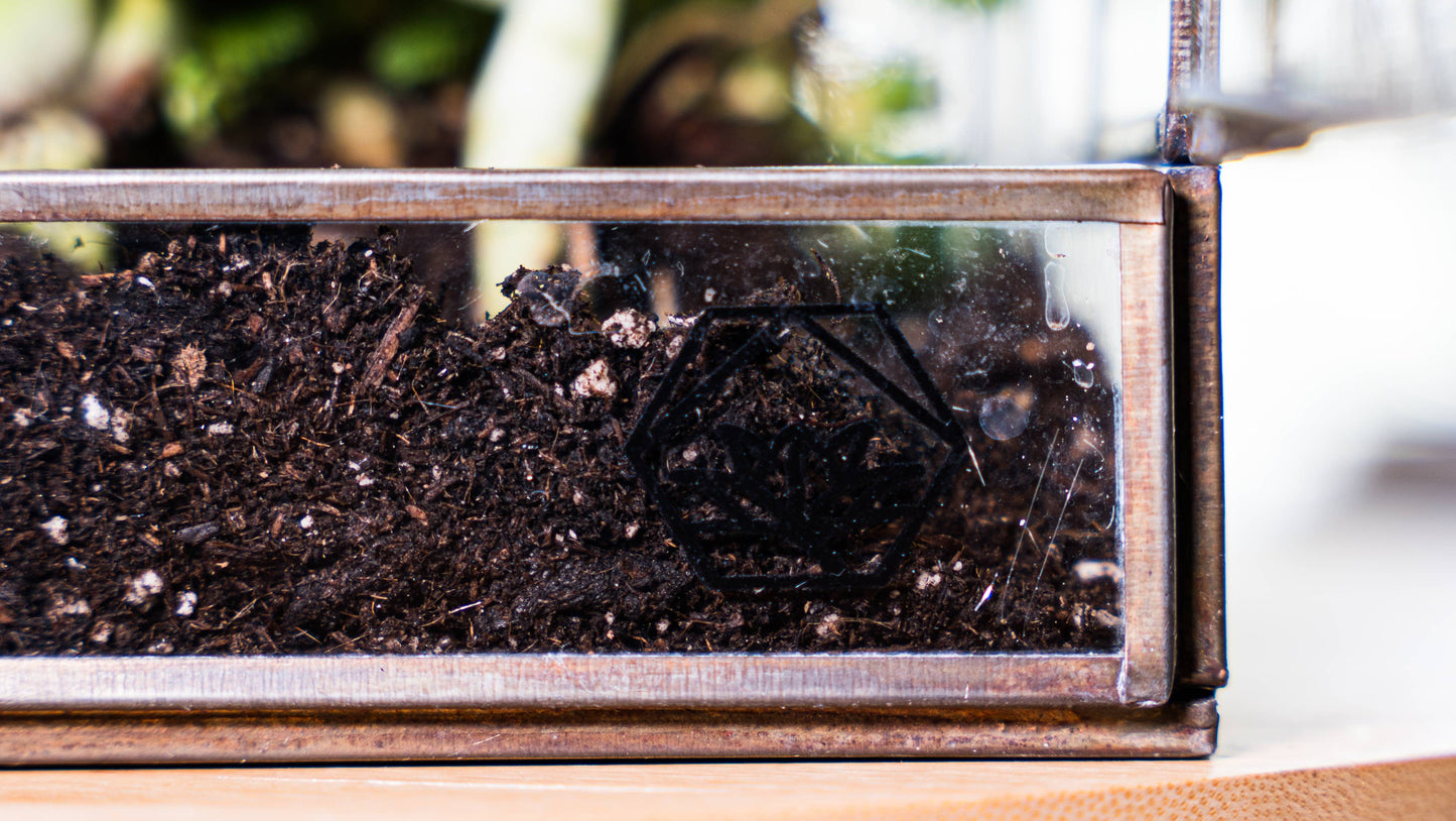 Urban Born Greenhouse Terrarium Glass+Metal, Bronze,10x7x10"