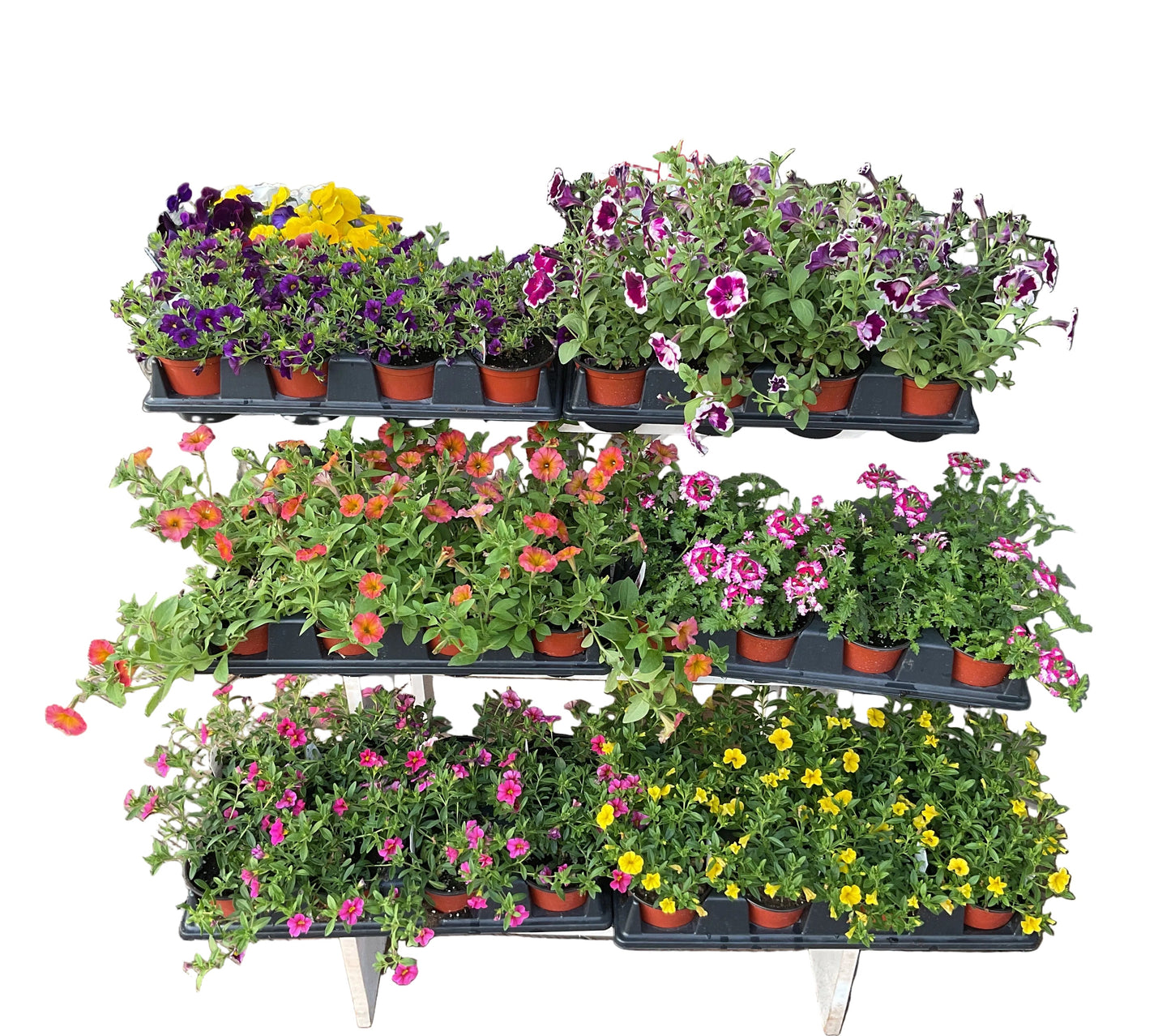 4.5" Flower Pot Program