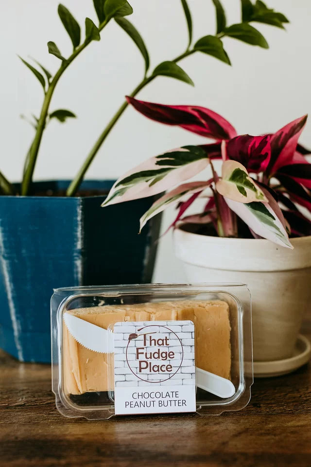 Chocolate Peanut Butter Fudge