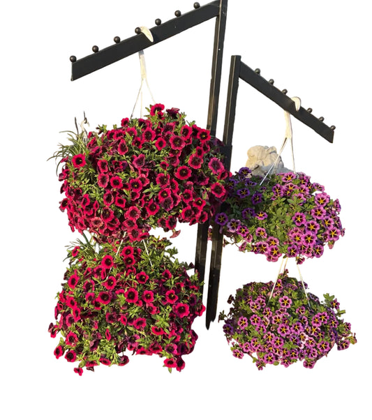 8" Flowering Hanging Basket