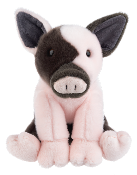 The Heritage Collection Hampshire Pig