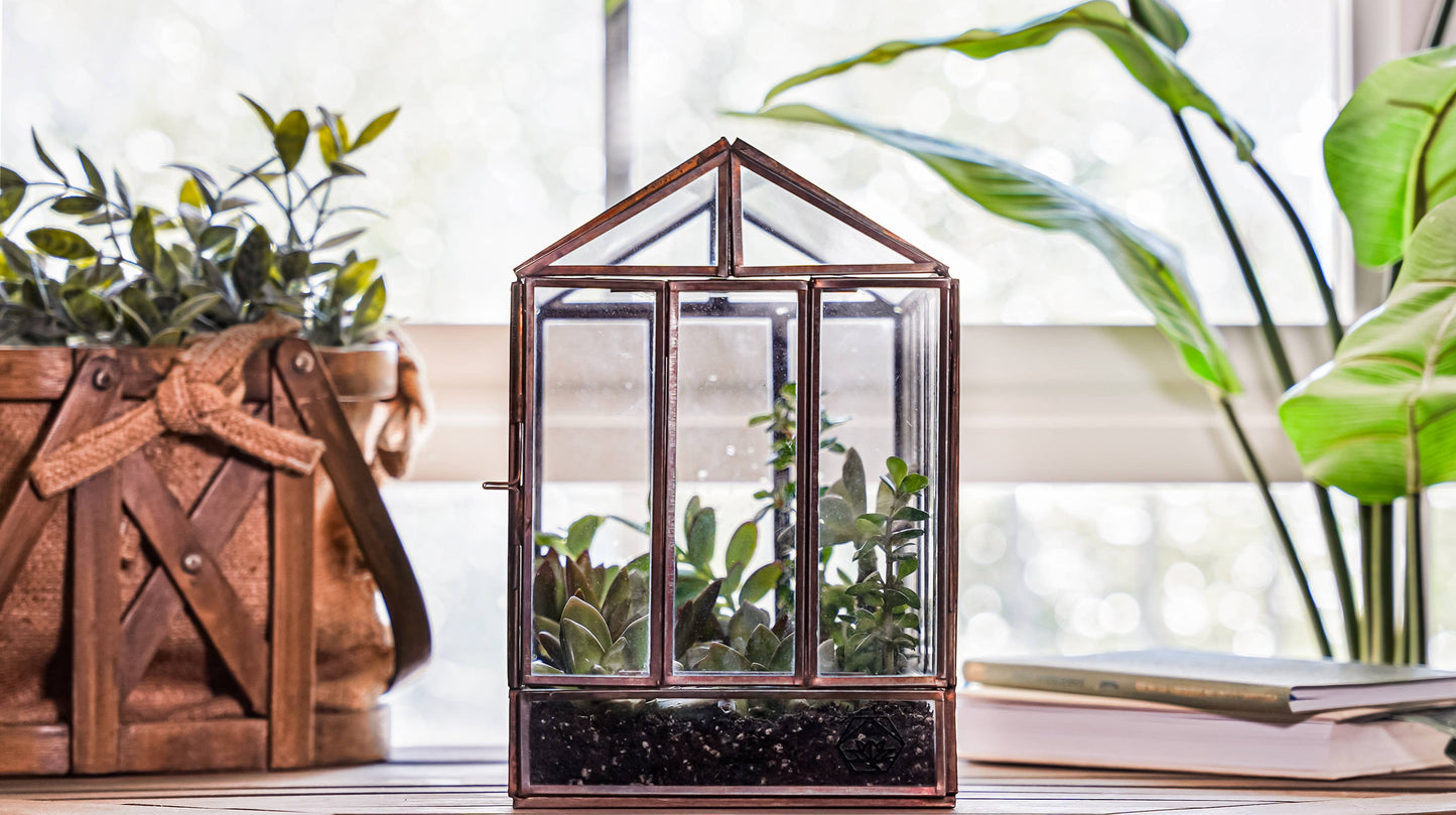 Urban Born Greenhouse Terrarium Glass+Metal, Bronze,10x7x10"