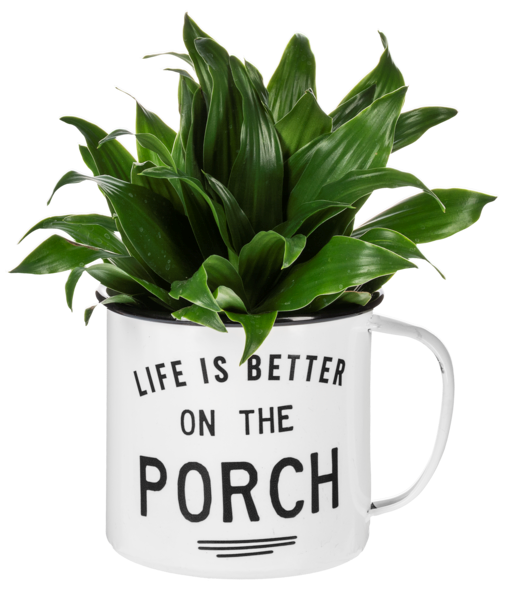 Life is Better Mug Planter CG180123