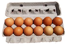 Organic Cage Free Large Brown Carton Eggs