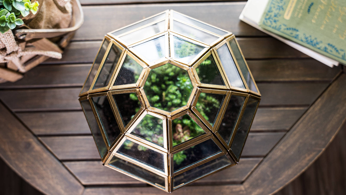Urban Born Birdcage Terrarium: Glass Indoor Display, Bronze