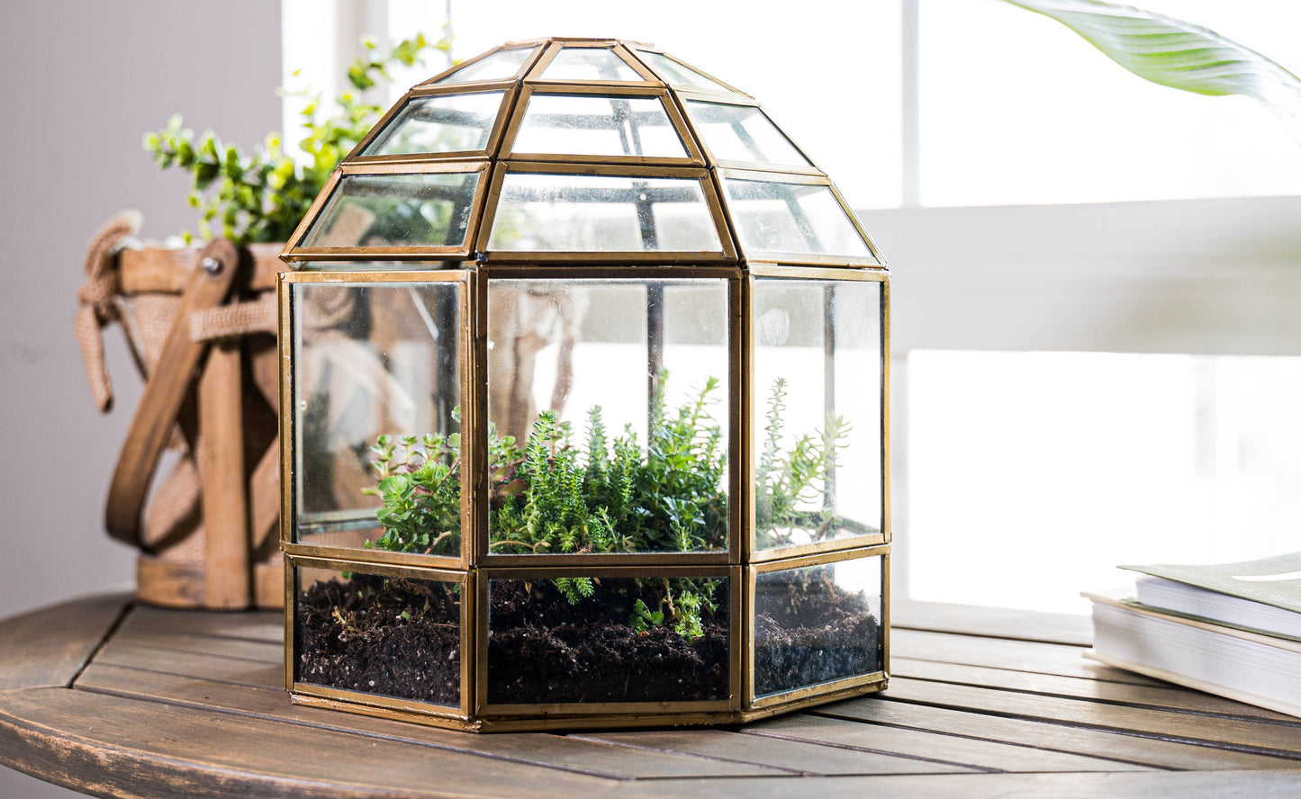 Urban Born Birdcage Terrarium: Glass Indoor Display, Bronze