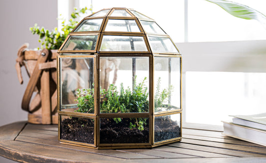 Urban Born Birdcage Terrarium: Glass Indoor Display, Bronze