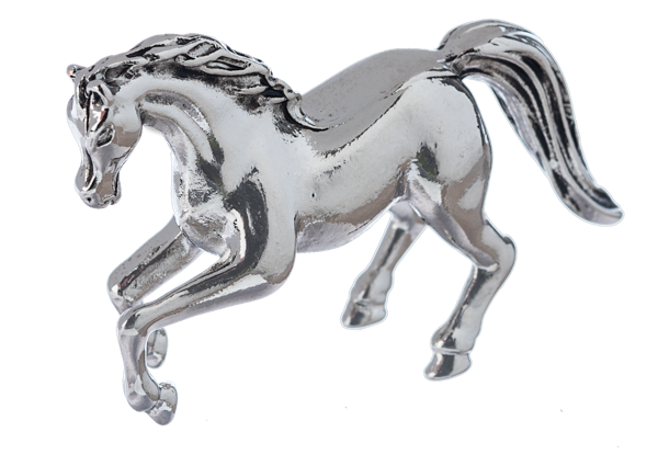 Mighty Horse Charm