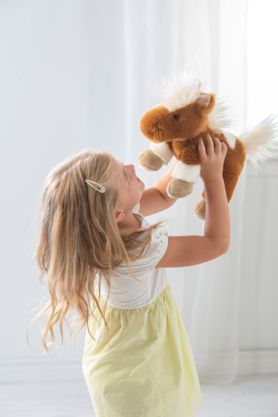 The Shetland Pony H15260