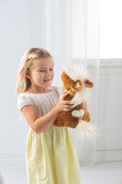 The Shetland Pony H15260