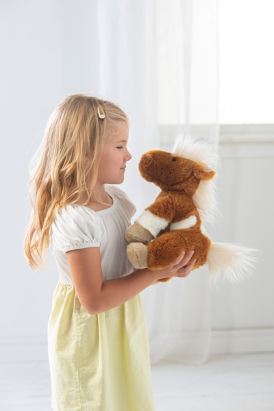 The Shetland Pony H15260